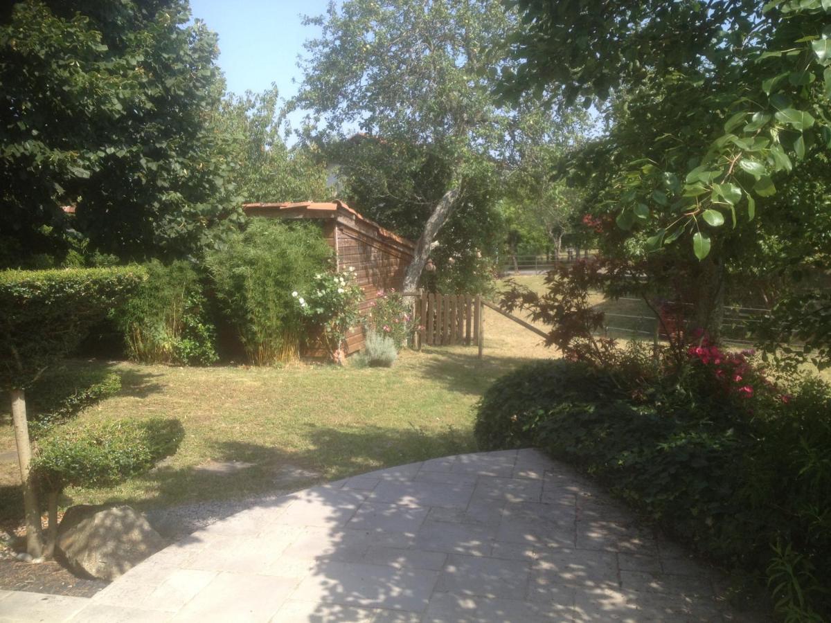 Maison Sur La Colline Cheminee Wifi Proche Thermes オーバン エクステリア 写真